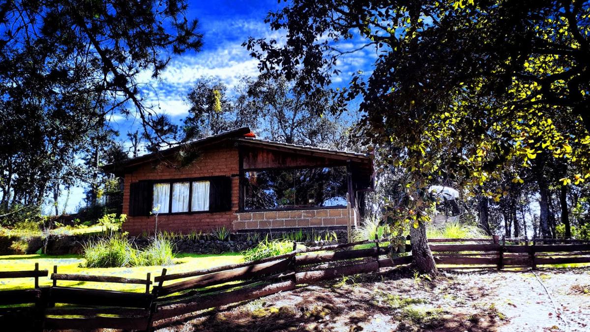 Cabaña en medio del bosque ZA - Housity