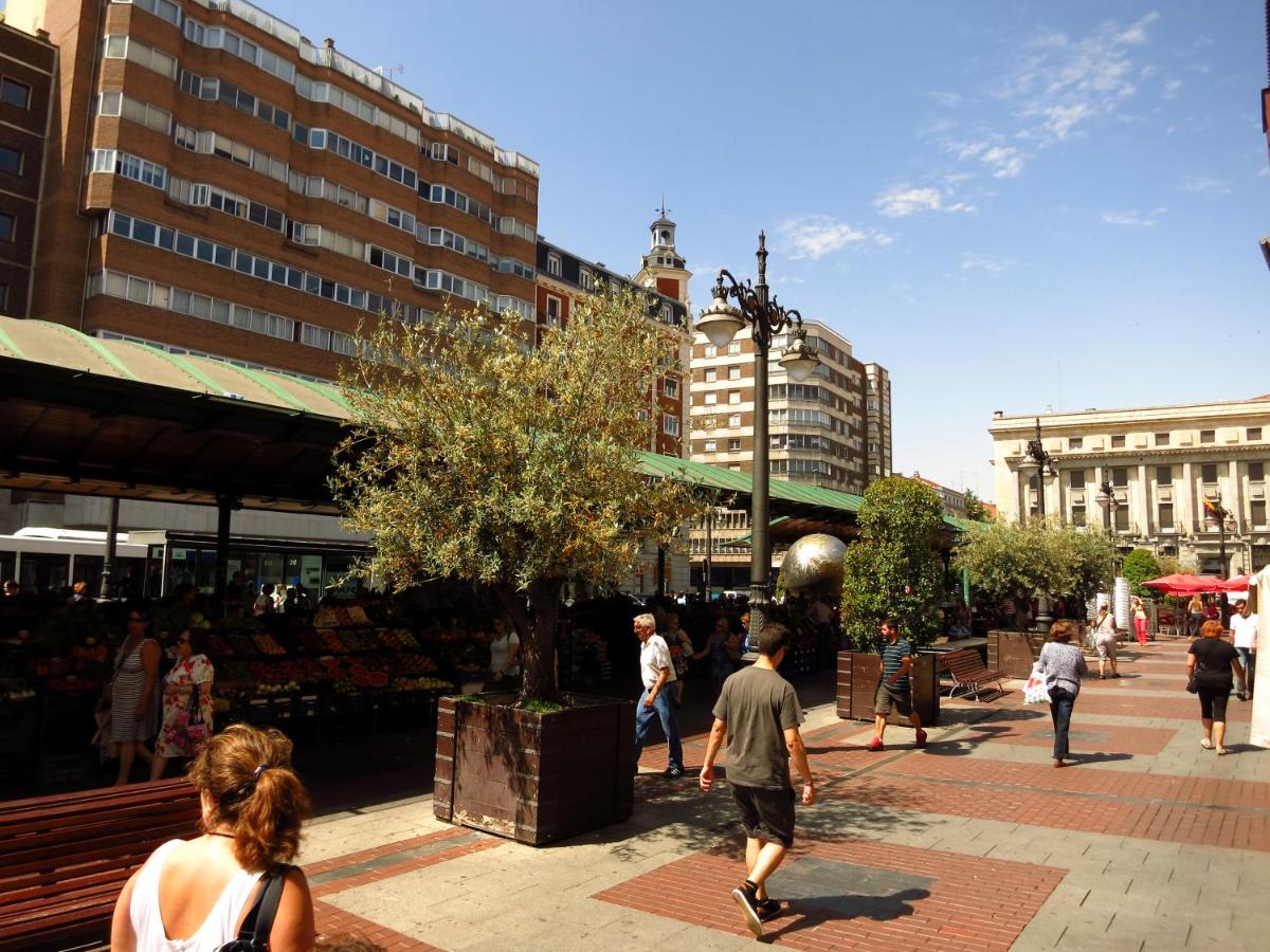 Apartamentos Boutique Catedral - Housity
