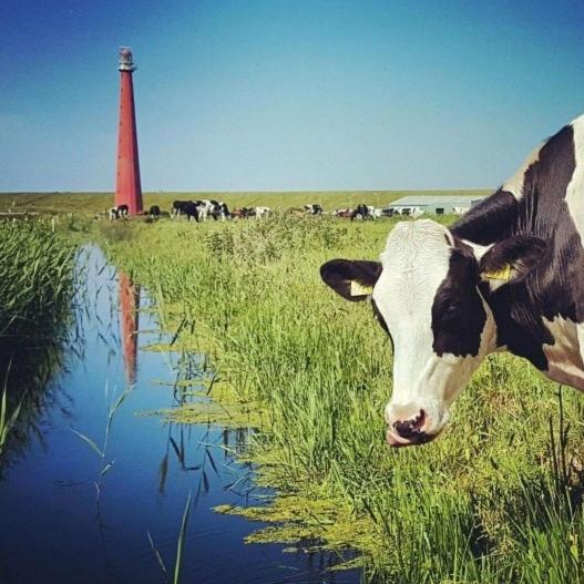 Overnachten onder de Lange Jaap - Housity