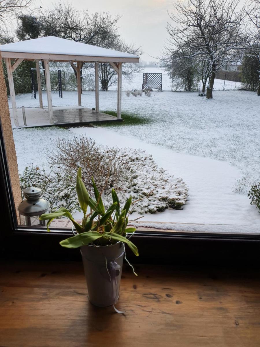 APARTAMENT Zakątek Wrocławia - Housity