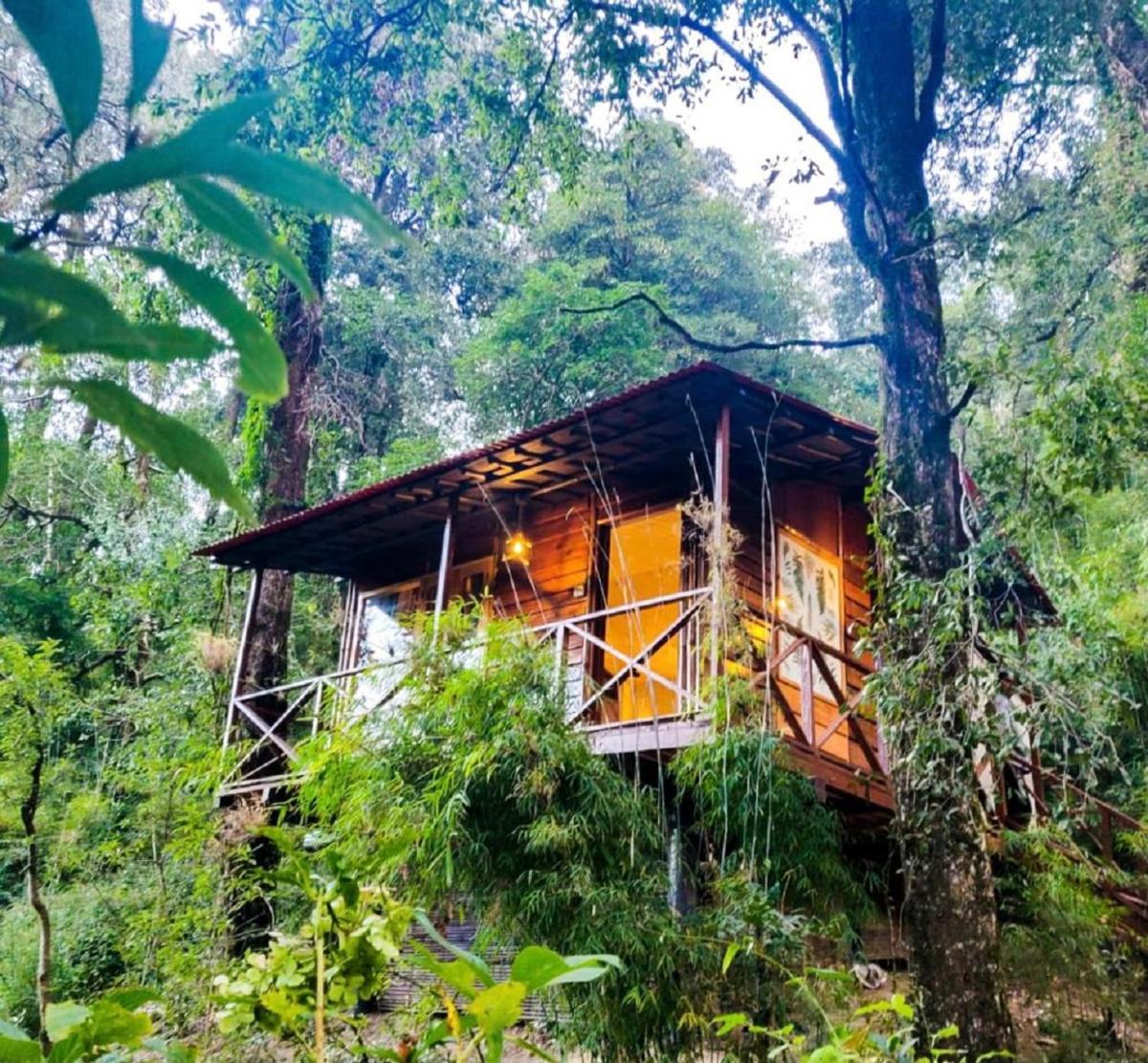 Ayar Jungle Resort - Housity