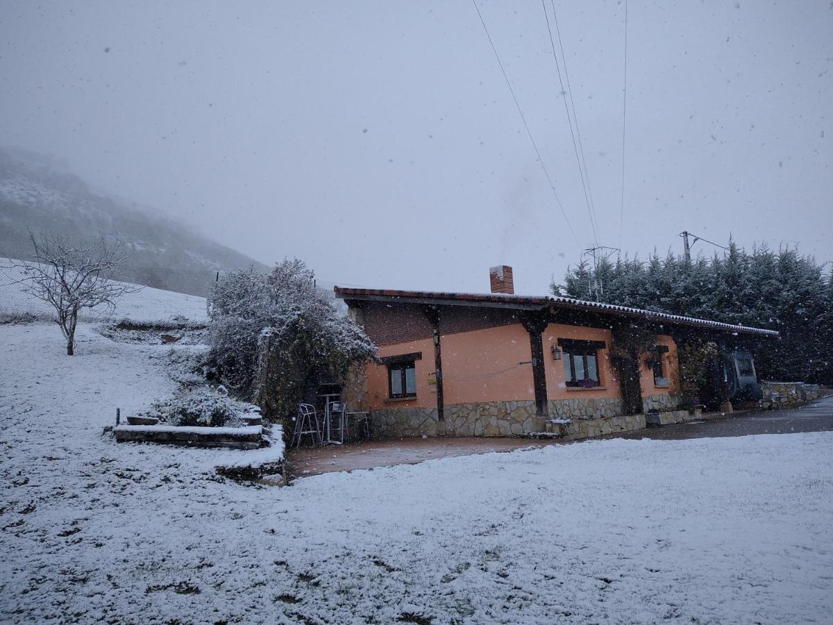 Casa las Niñas - Housity