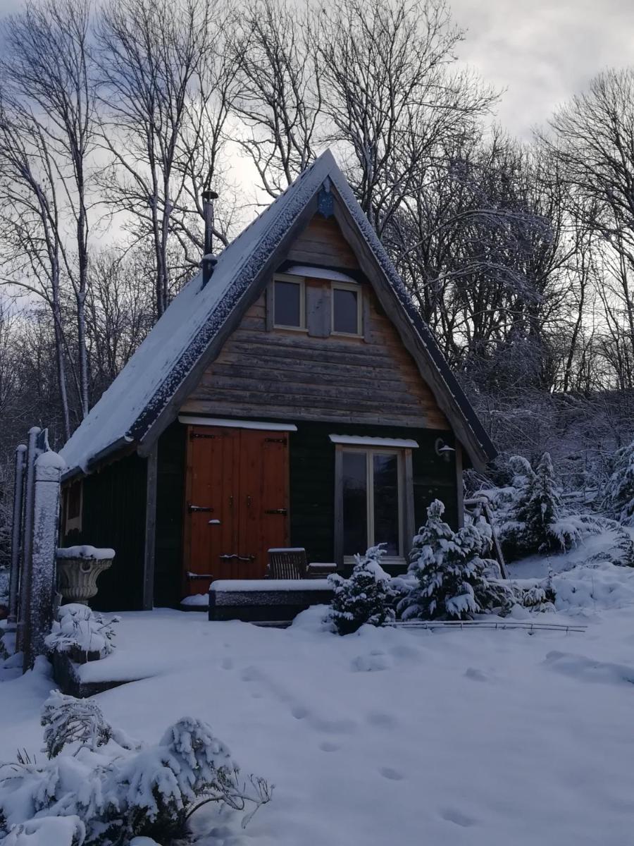 WillowTree Cottage - Housity