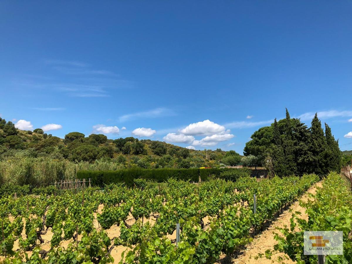 Villa Costa Brava 10 mins from the sea - Housity