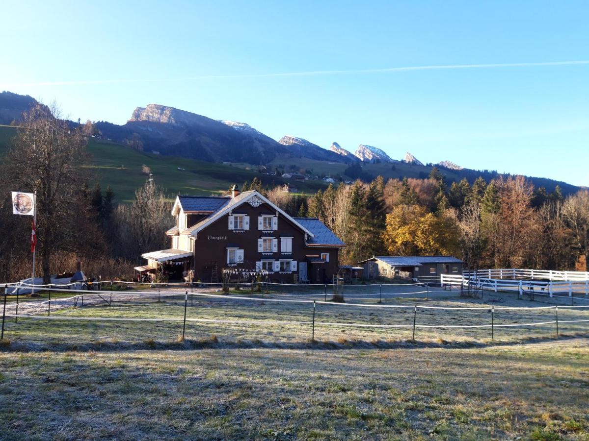 Studio Chic Wildhaus - Housity