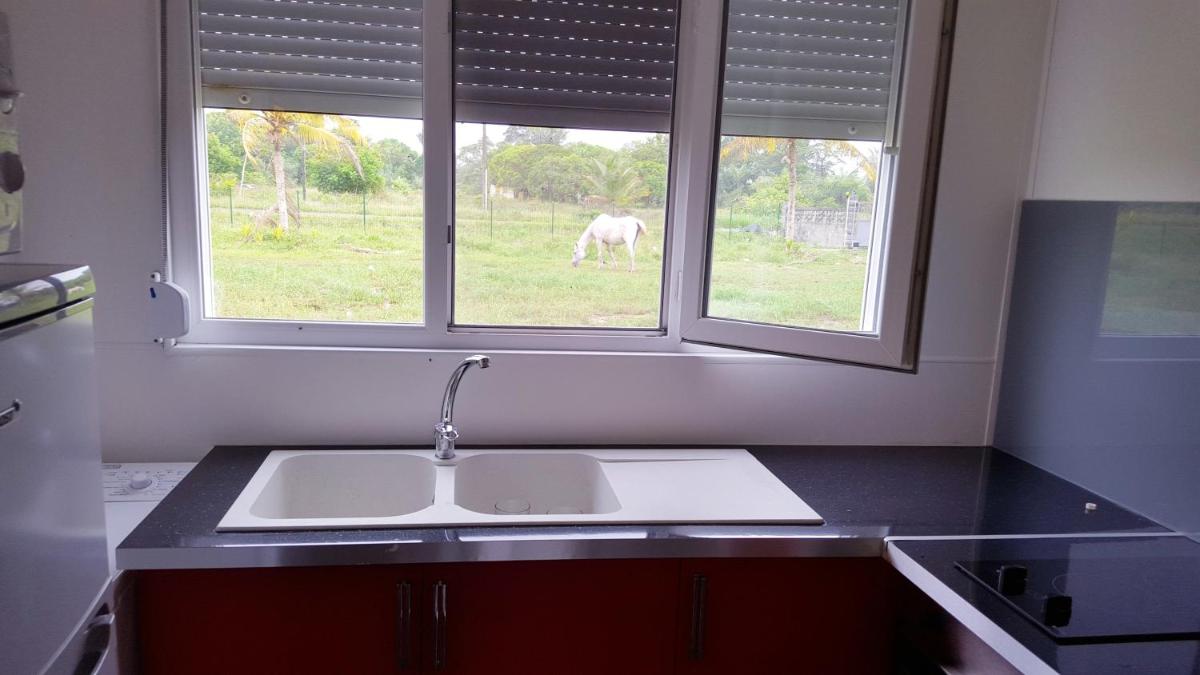 Maison charmante a Macouria avec jardin cloture et terrasse - Housity