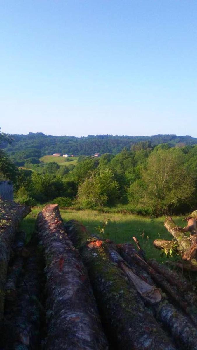 Large Family House with Garden and Mountain View Lugo - Housity