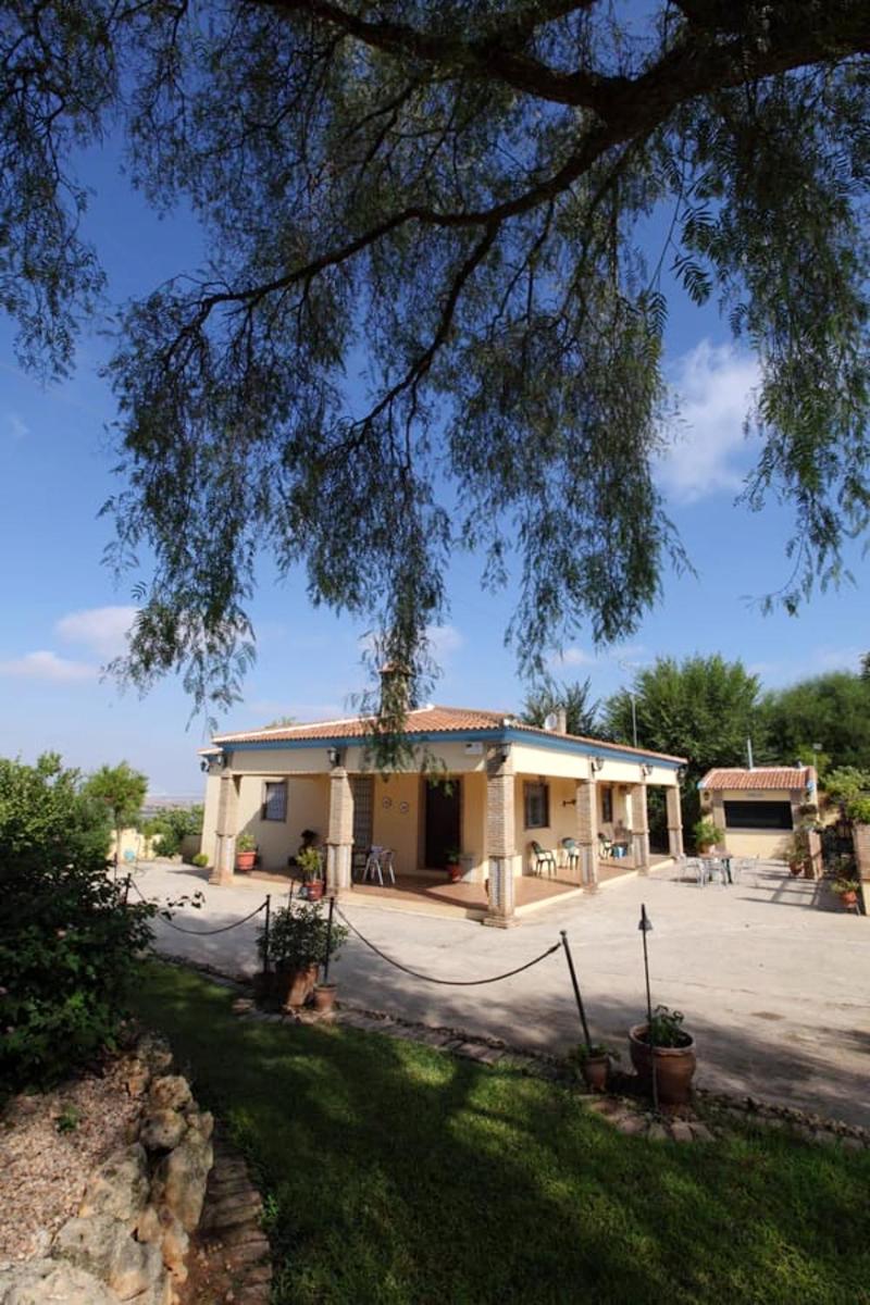 Spacious Villa with Pool in Sanlúcar la Mayor - Housity