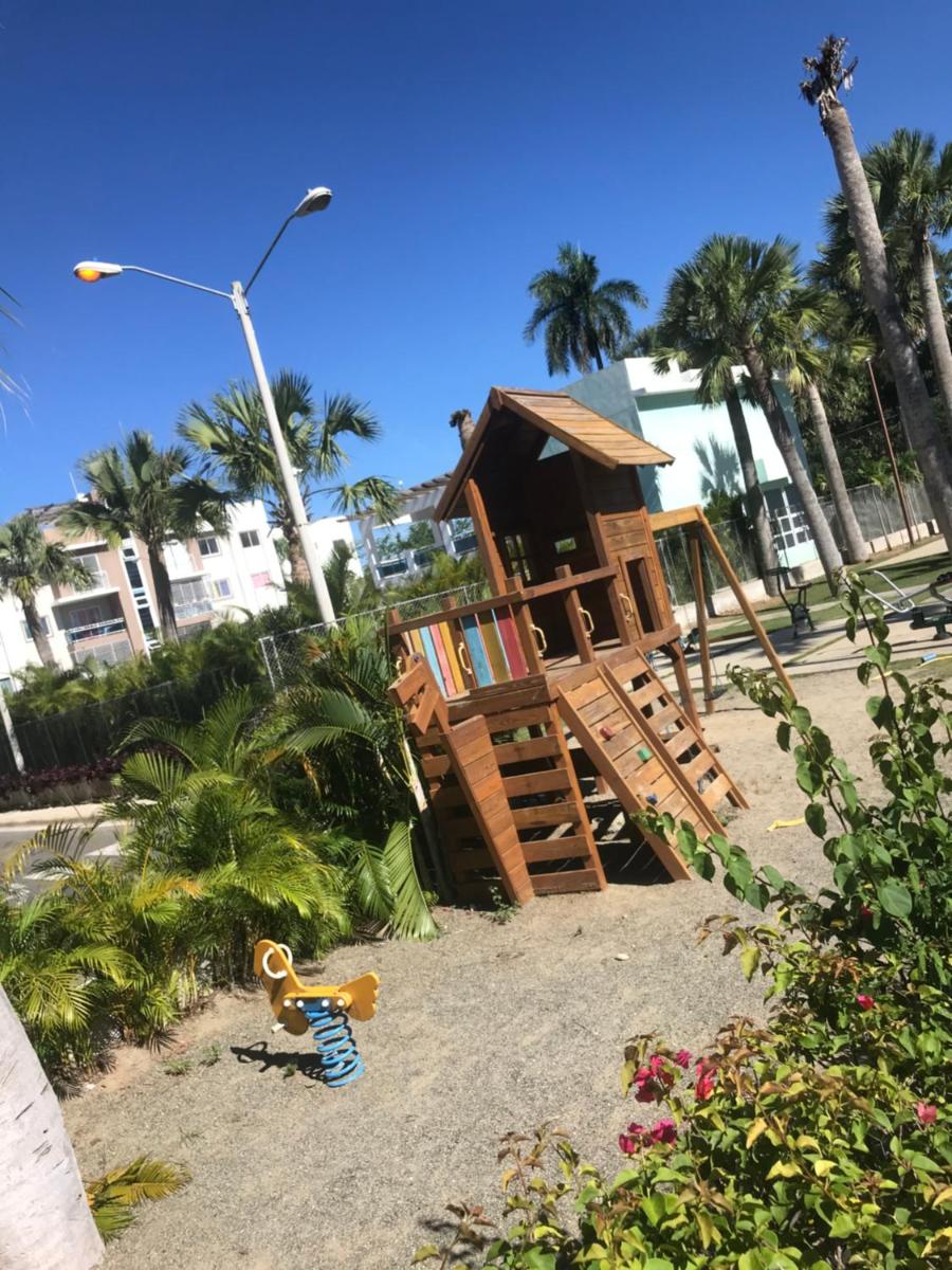 Luxury real palm - Housity
