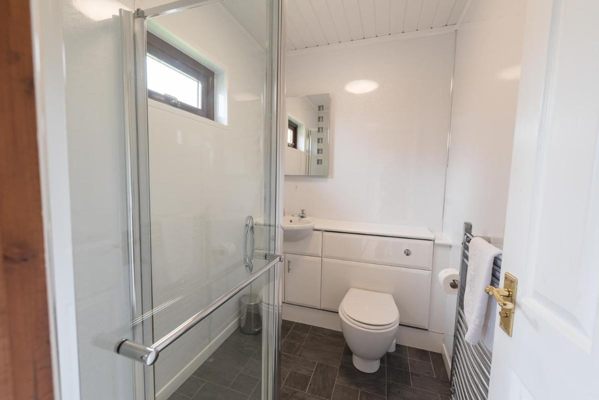 Conifer Lodge 8 with Hot Tub Newton Stewart - Housity