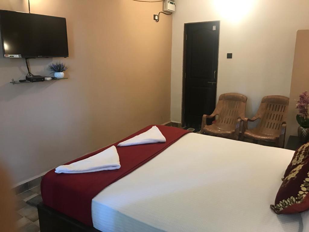 Carolina Guesthouse - Housity