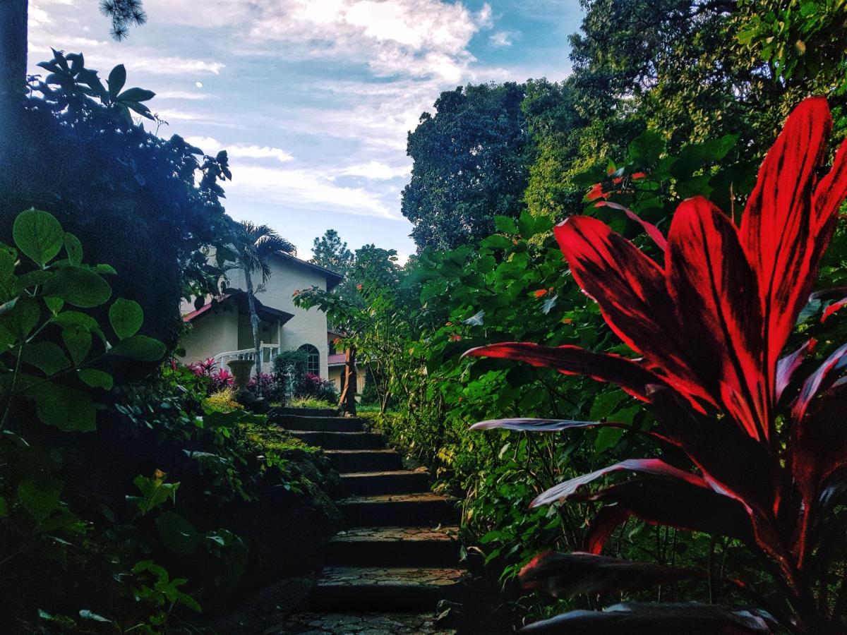 Tower Studio in the Treetops in Altos del Maria Panama - Housity