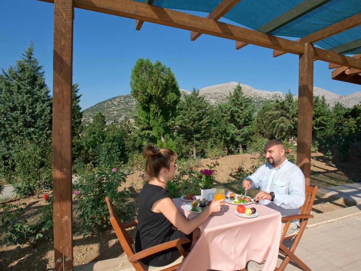 Sagalassos Lodge & Spa Hotel - Housity