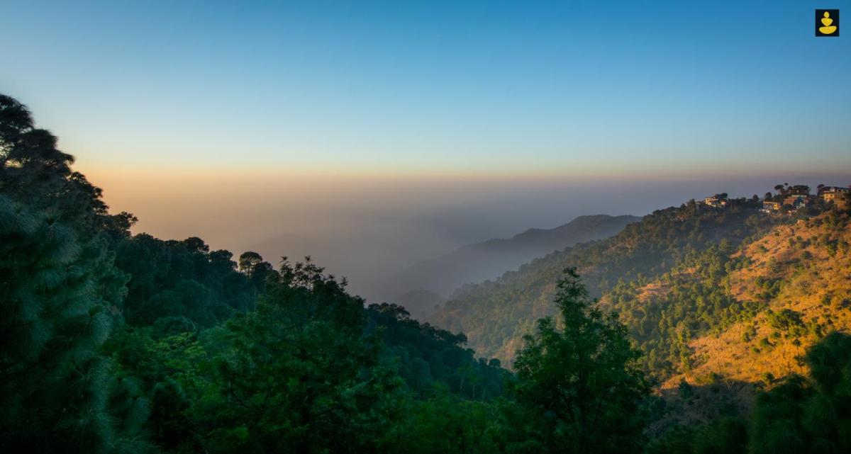 LivingStone 2BHK Cozy Homestay in Kasauli Hills - Hizvo