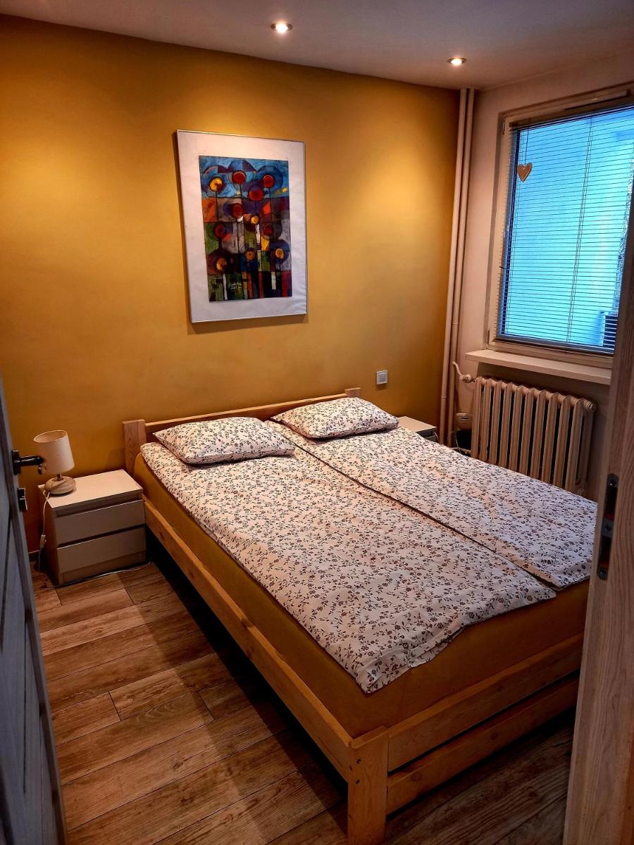 Modern Studio 9 - Housity