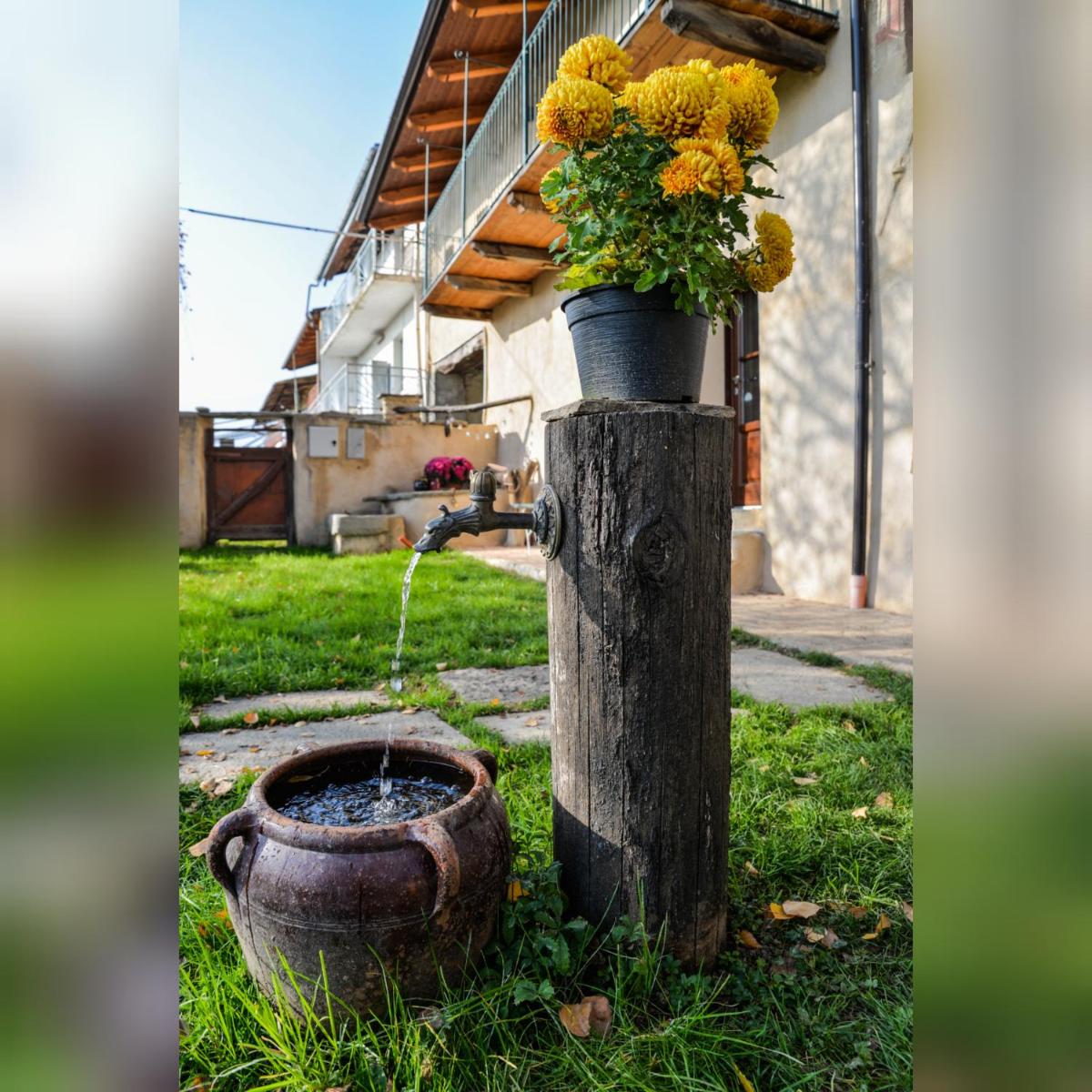 Agriturismo Magnarosa - Housity