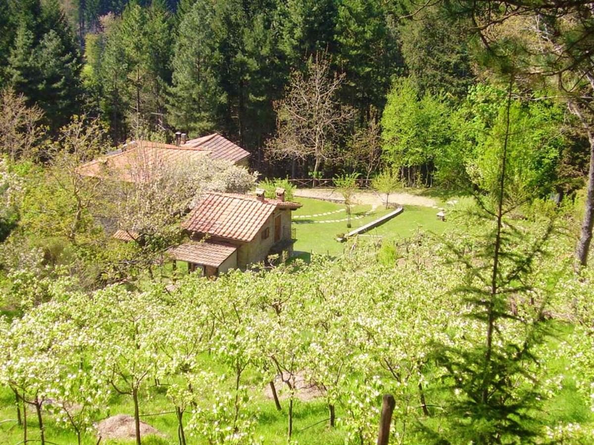 Comfortable House in Bibbiena + Pool - Housity