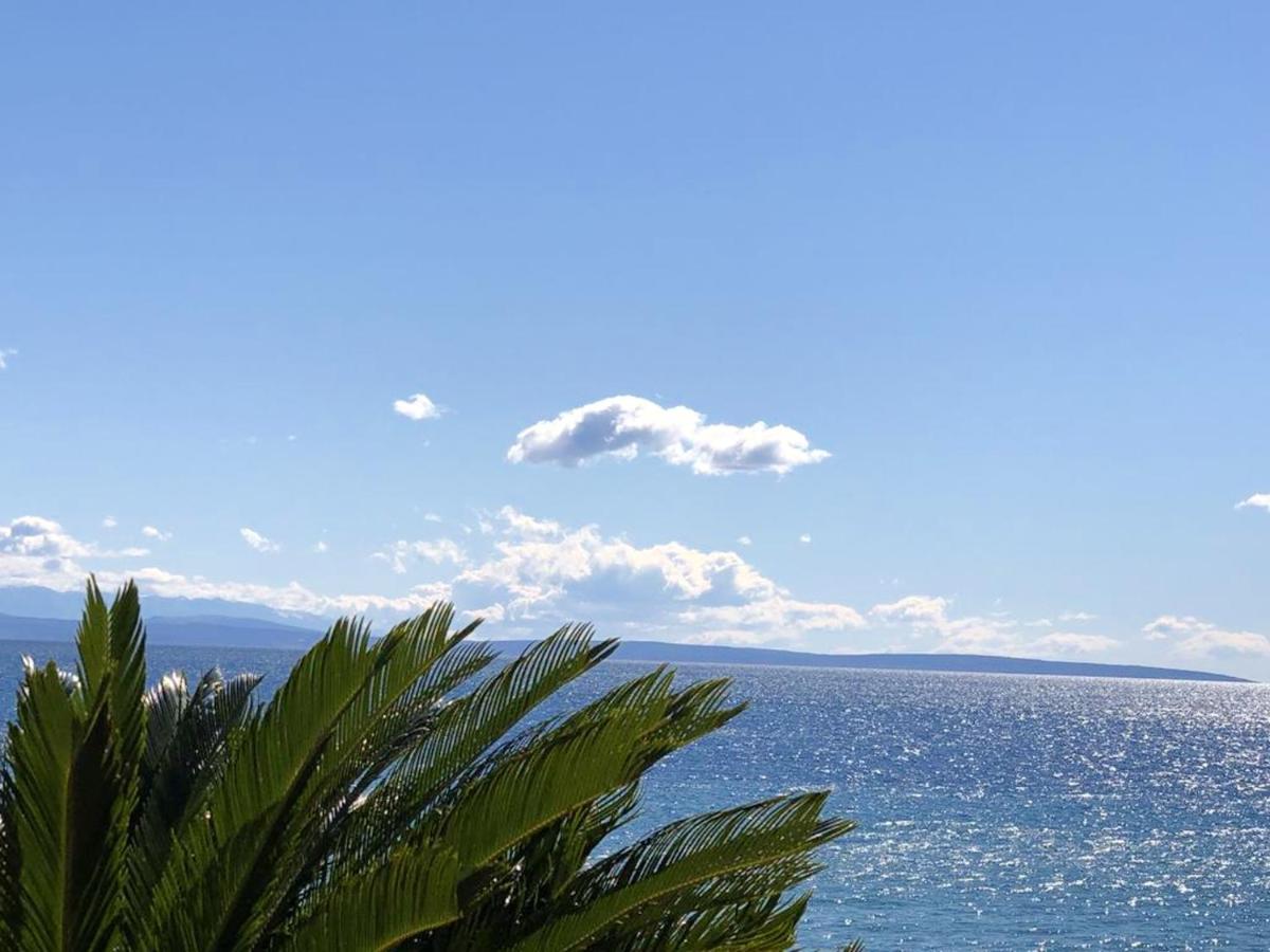 Charming Apartment in Novigrad, 45 sqm, with Terrace - Housity