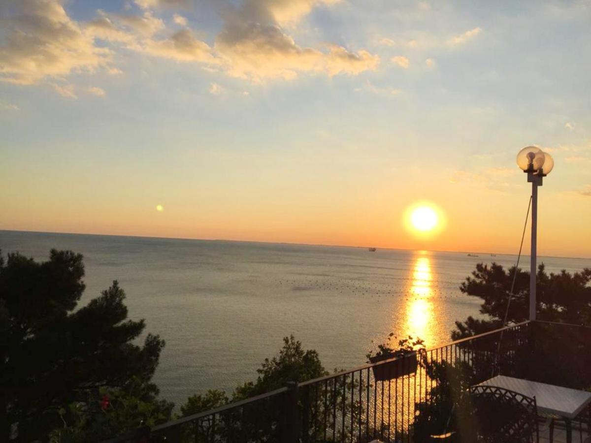 Charming Apartment in Novigrad, 45 sqm, with Terrace - Housity