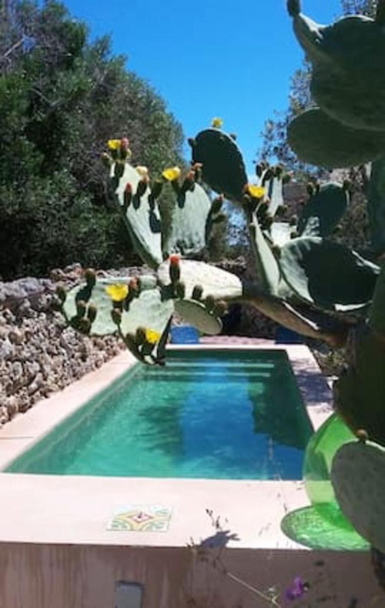 2 bedrooms villa with private pool furnished garden and wifi at Otranto - Housity
