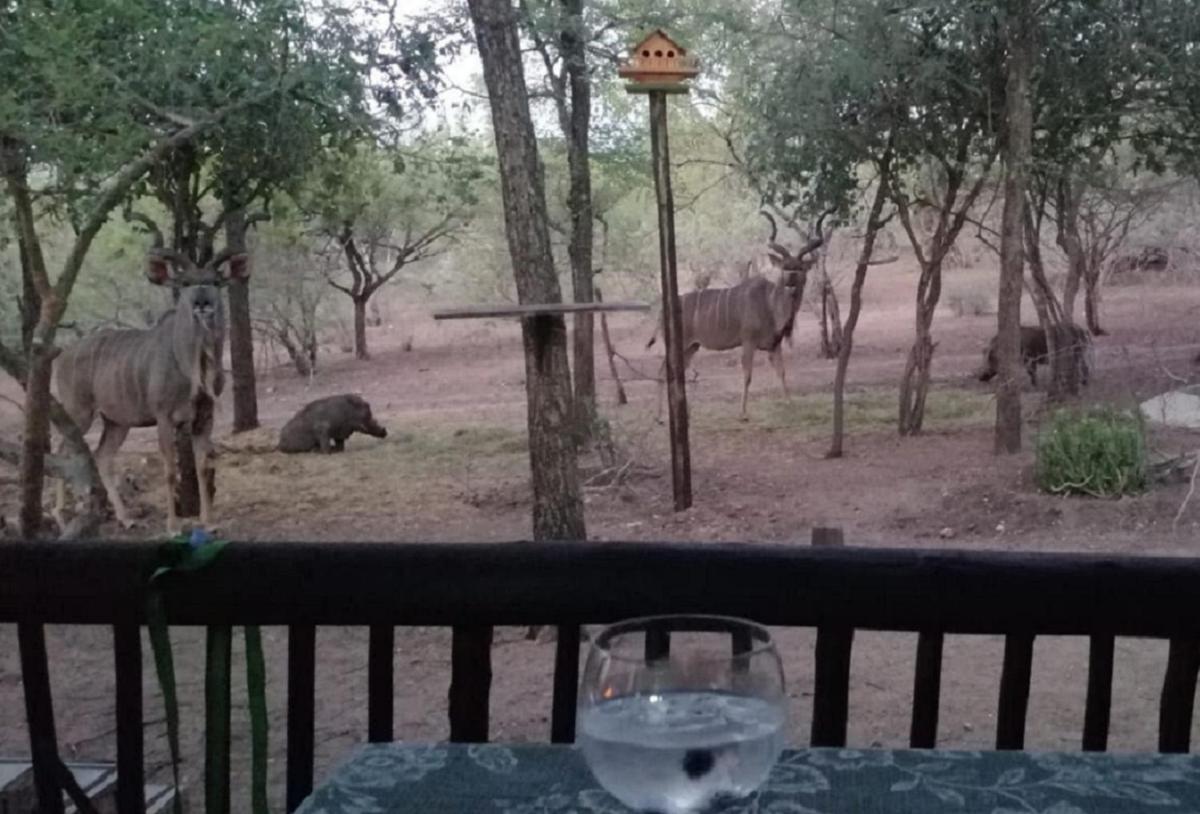 Coga Cottage - Marloth Park - Housity