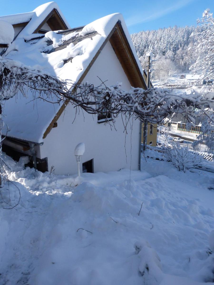 Erzgebirgshütte - Housity