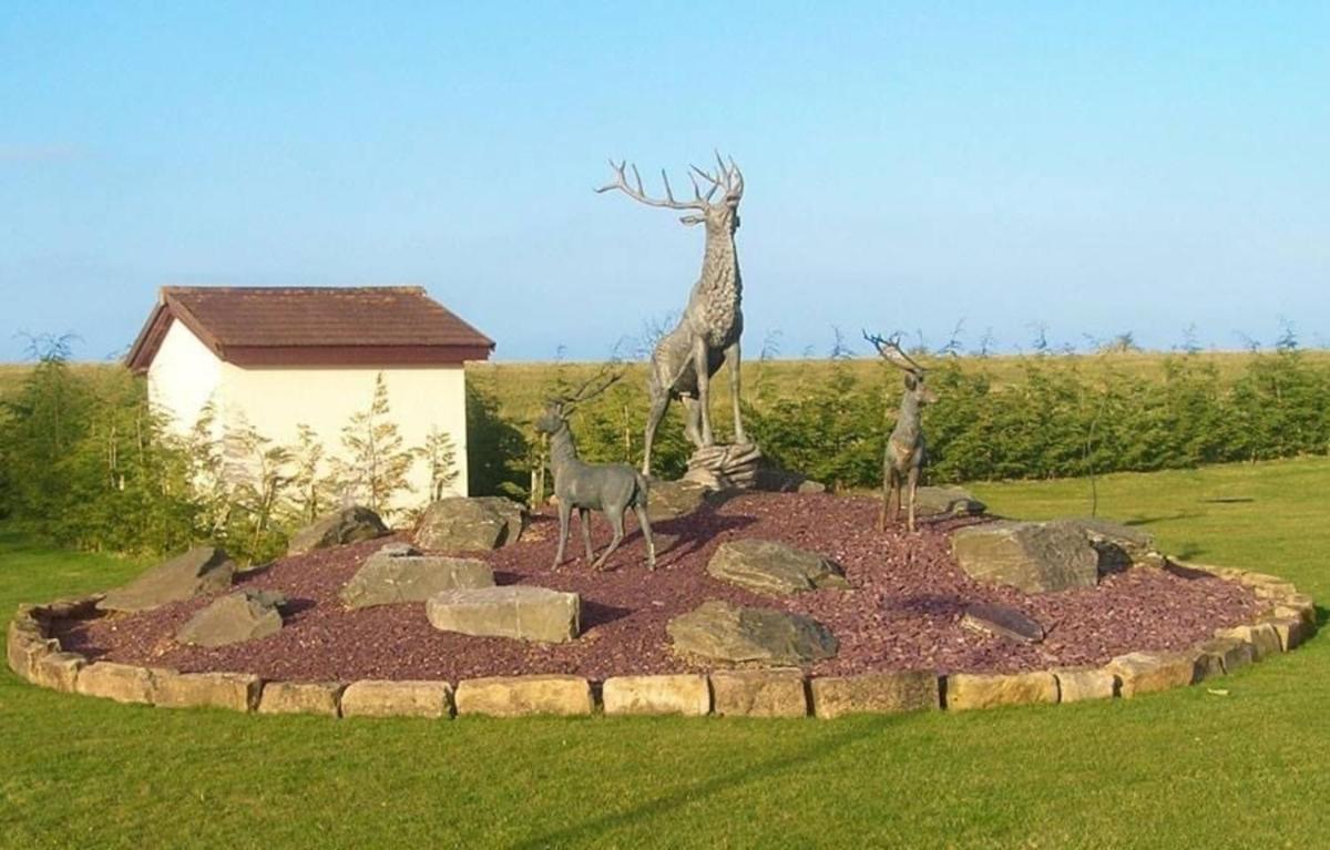 Charming 2-Bed Lodge with Hot tub in Morpeth - Housity