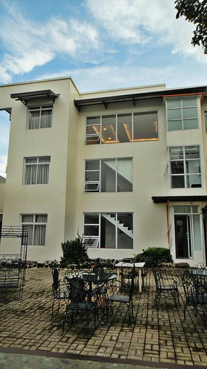 Purple Tree Bed & Breakfast - Housity