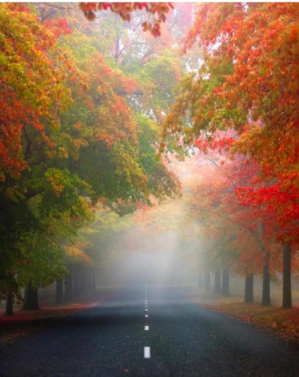 Wotama, Macedon B and B, Honour Ave, Mount Macedon - Housity