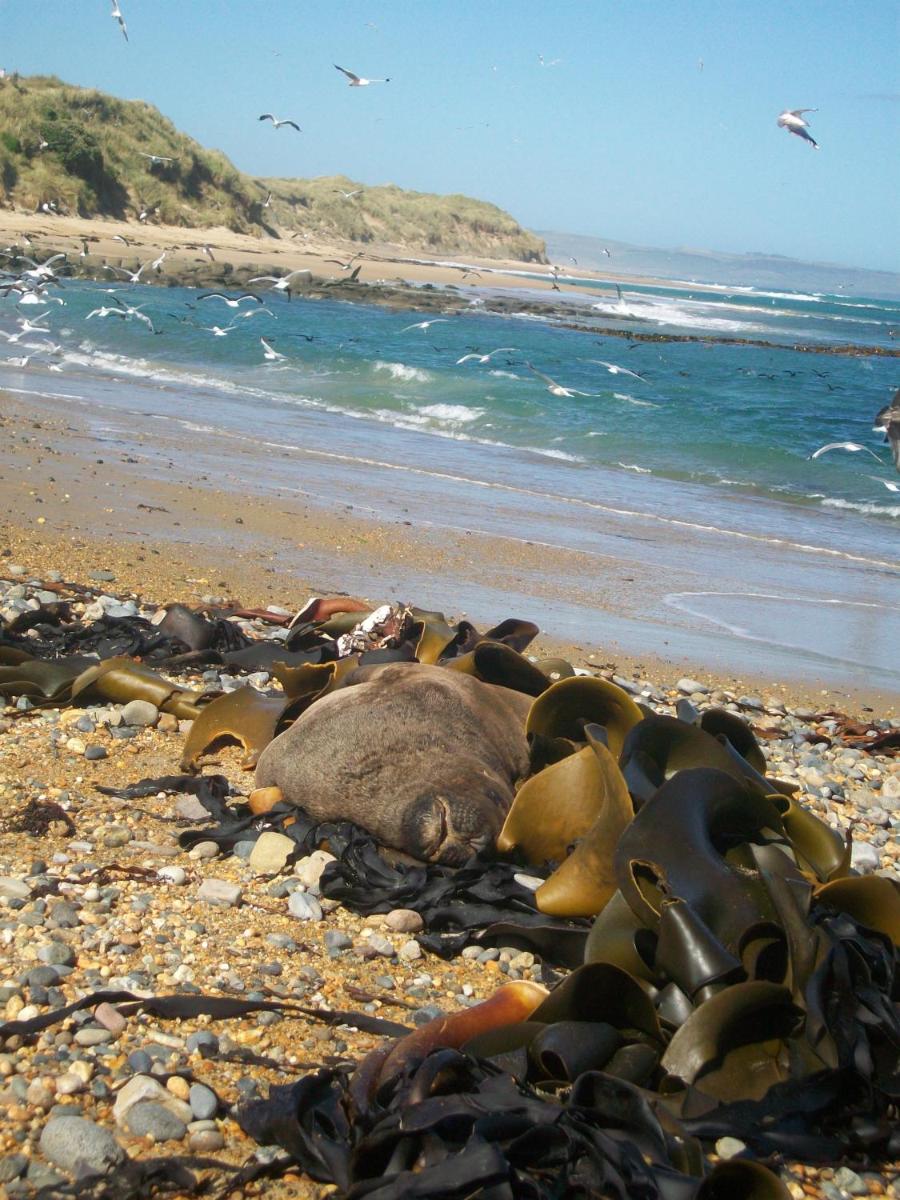 Catlins Retreat B & B - Housity