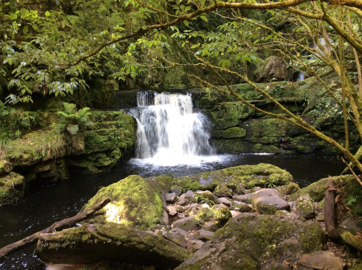 Catlins Retreat B & B - Housity