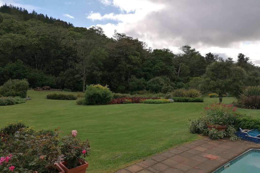 Hornbills Forest Cottages - Housity