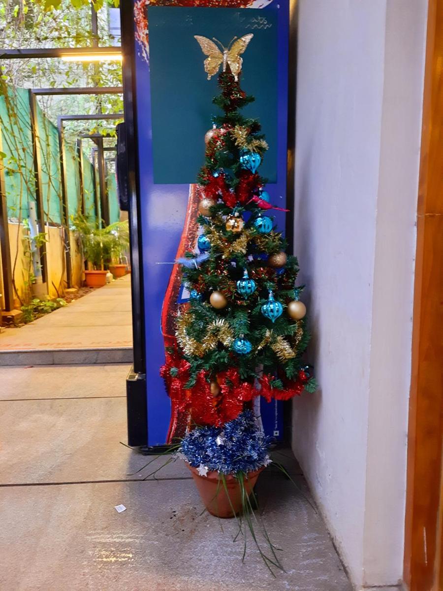 Avea Accommodation - Housity