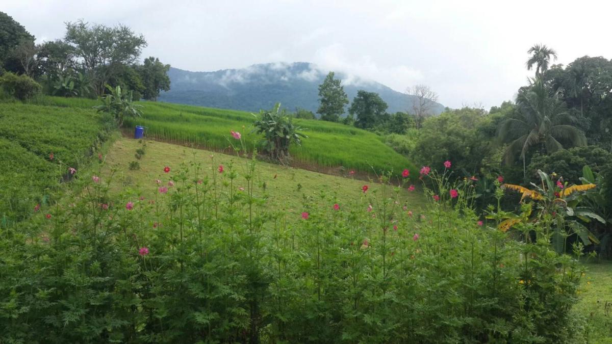 บ้านสวนฟาร์มสุข love in the mist - Housity