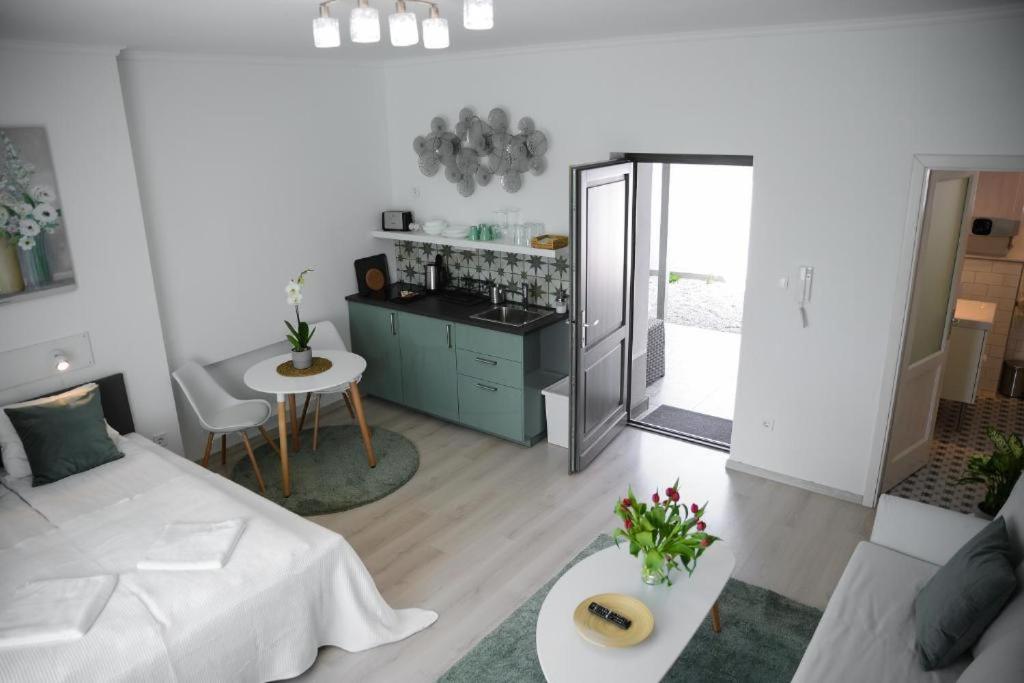 Rába Apartman House - Housity