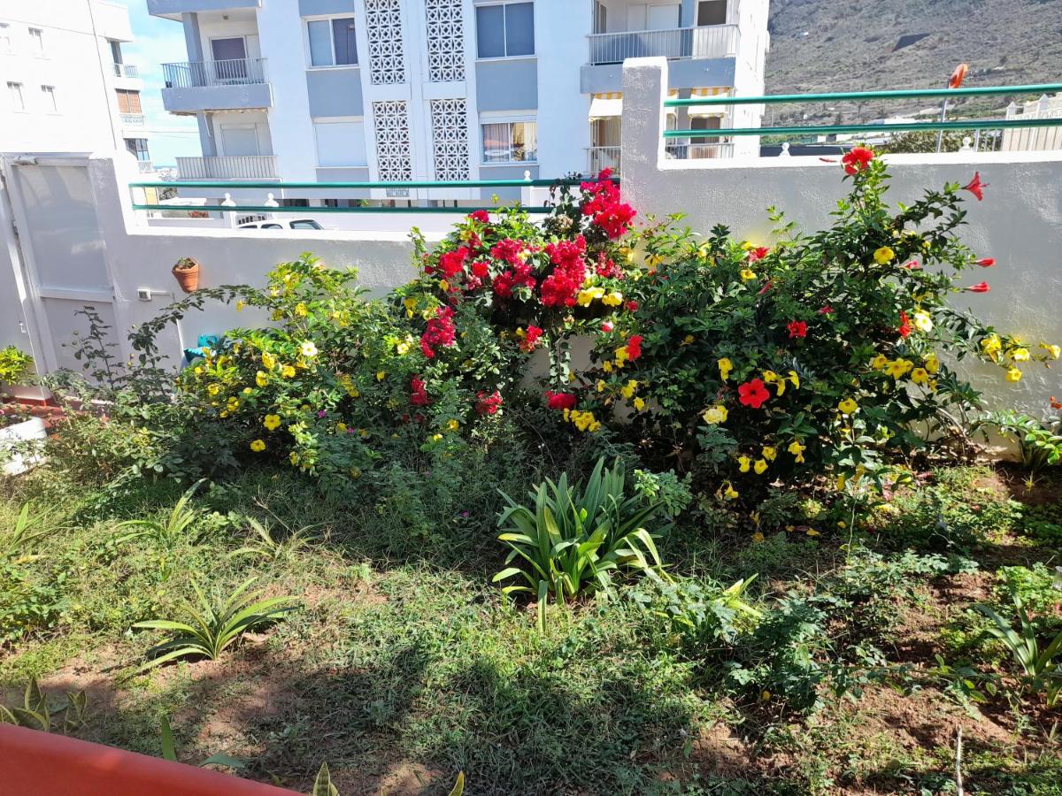 Bajamar Guest House A - Housity