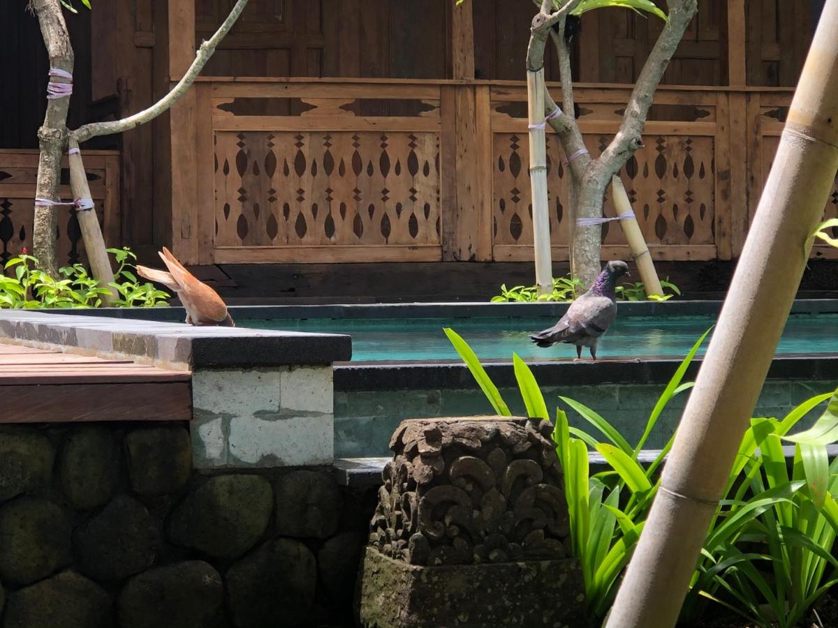 Melati Bali Homestay - Housity