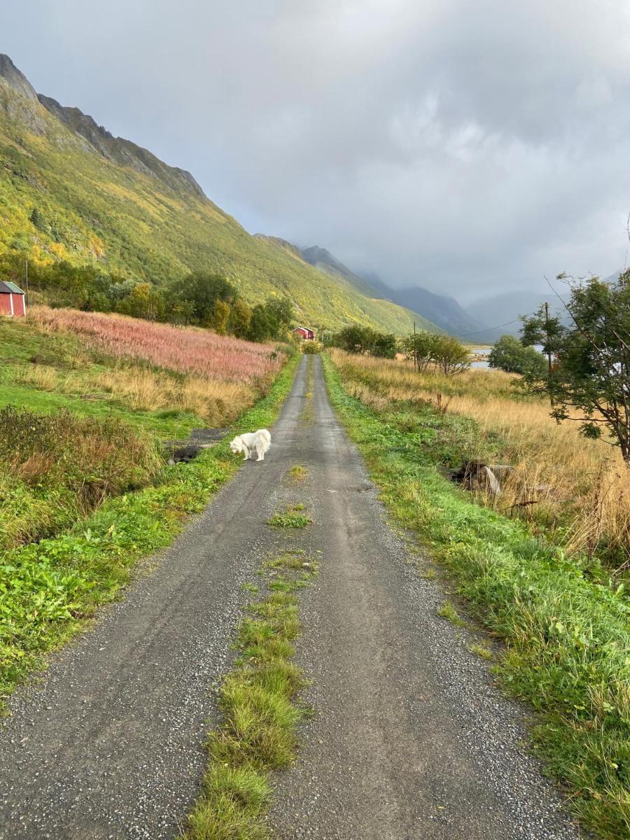 Fjord house in the heart of Lofoten - Housity