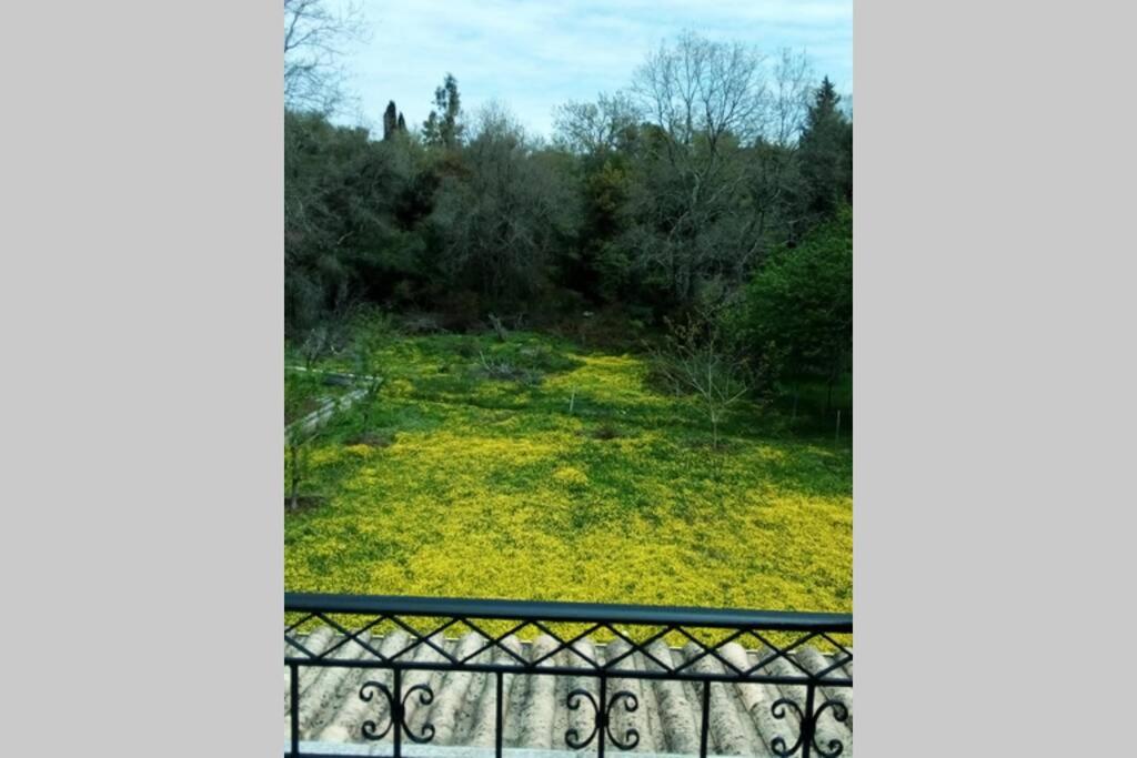 Υπεροχη διαμονη... - Housity