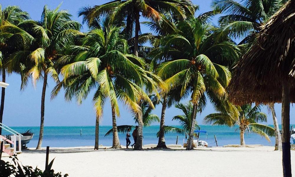 Axios Sun Apartments Caye Caulker - Housity