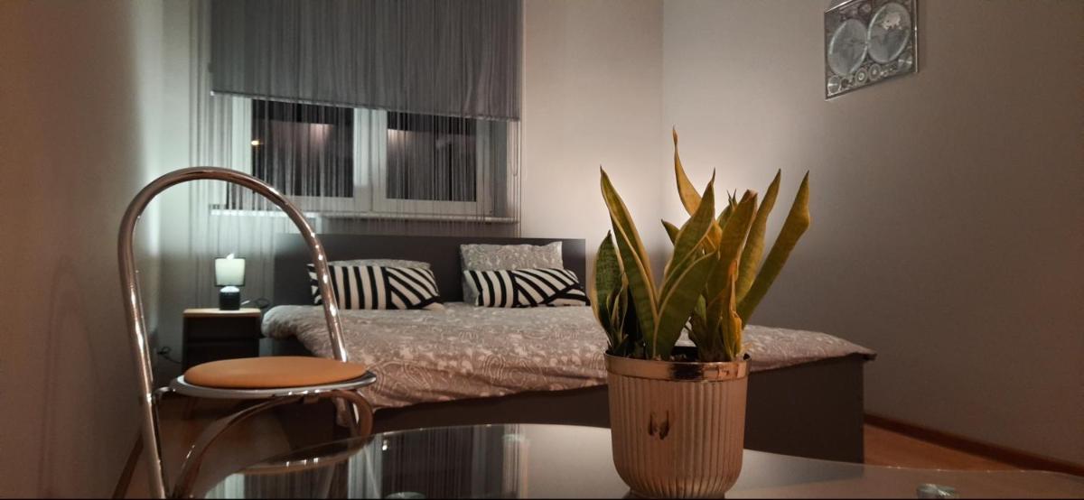 Apartament komfortowy Levino - Housity