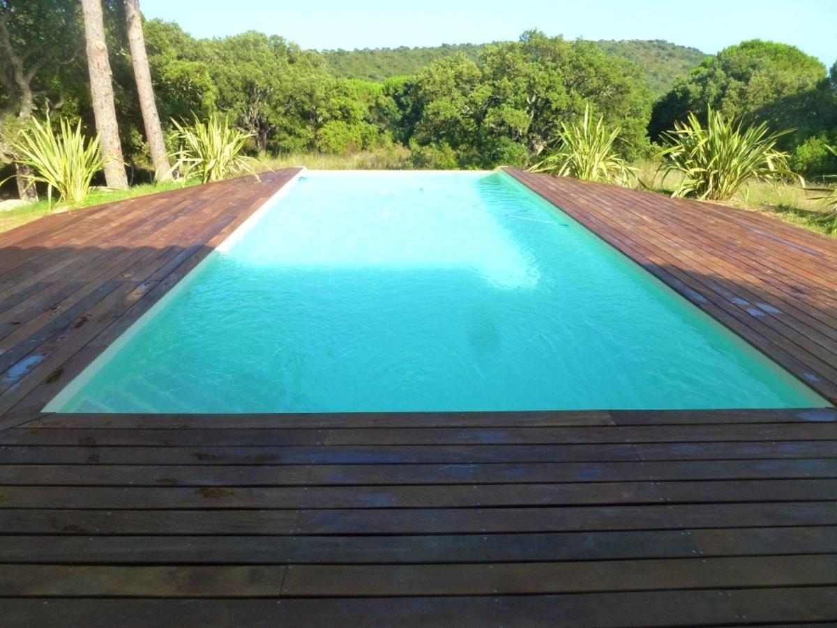 Appartement moderne a Porto Vecchio Piscine partagee - Housity