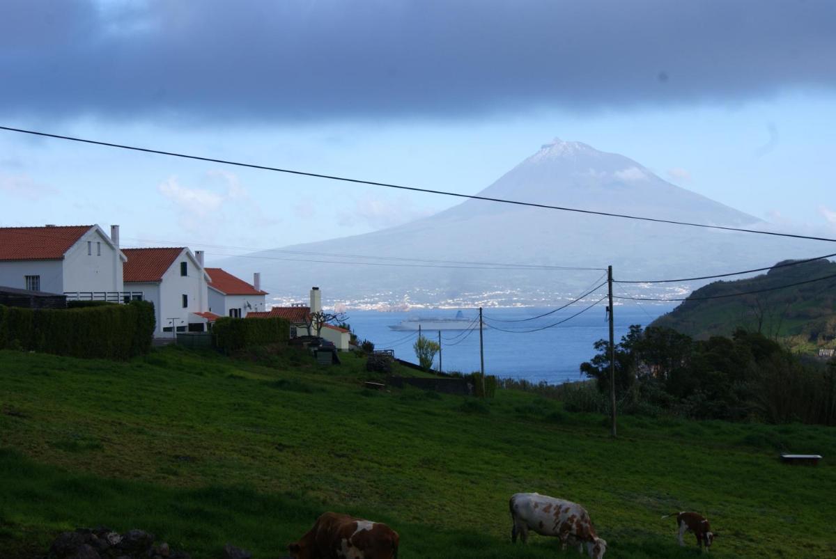Charming house with sea view in Horta - Housity