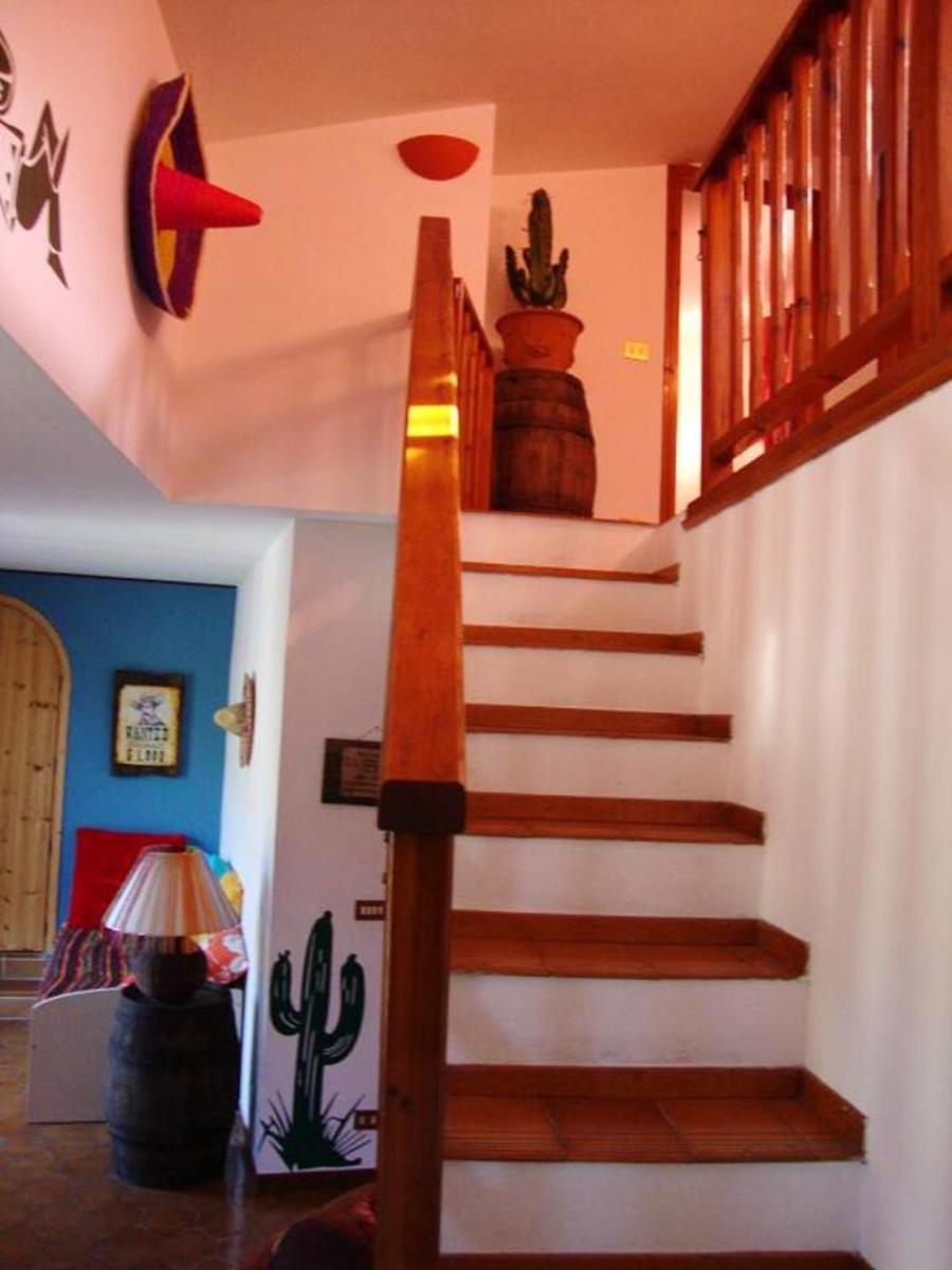 Welcoming family house in Olivetta with large garden - Housity