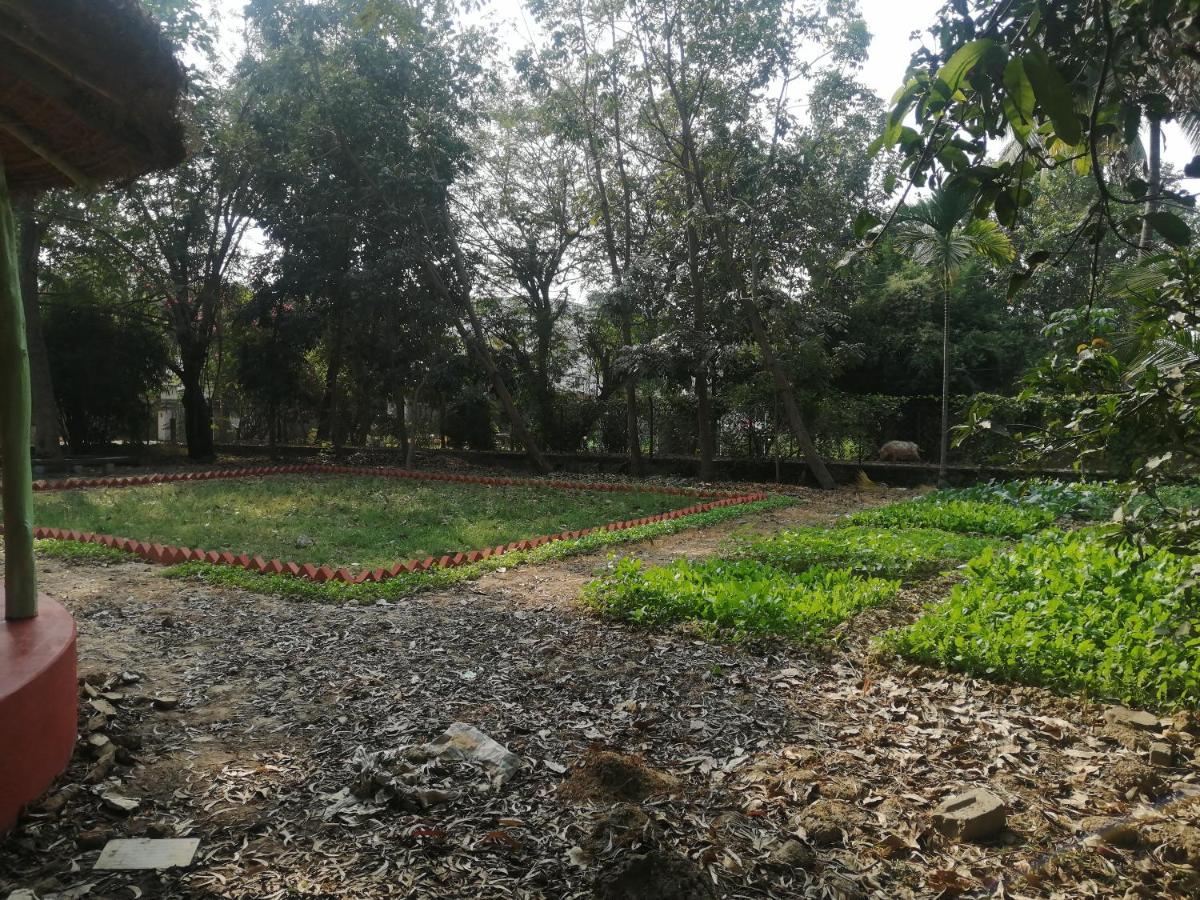 Bulbuli - Housity