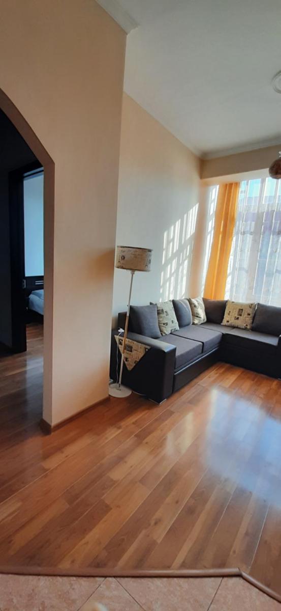 Apartment on Aleksandr Pushkin Street - Housity