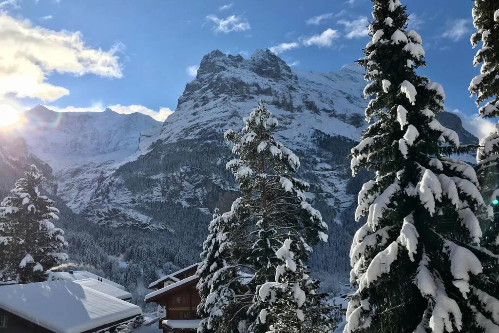 3,5 Zimmer KASA Bonaventura Grindelwald - Housity