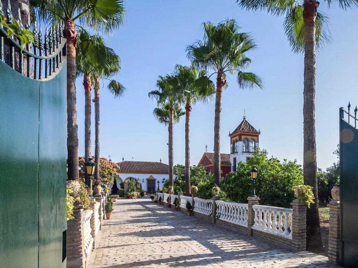 Spacious villa in Los Palacios with private garden 220m² and pool - Housity