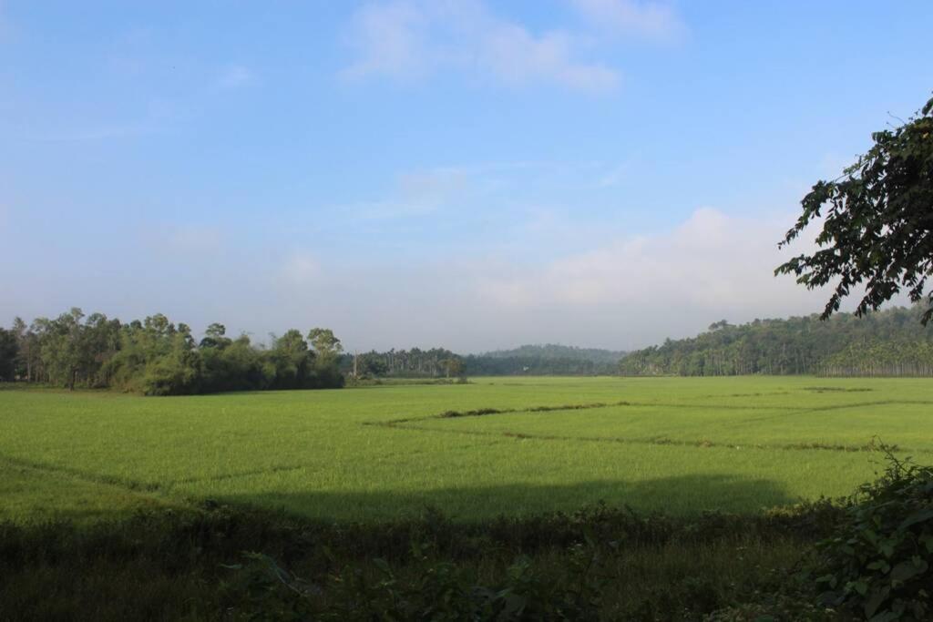 Wayal Wayanad Twin Villa - Housity