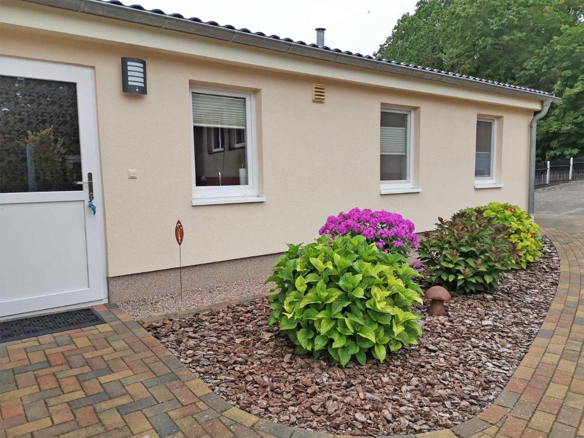 Ferienwohnung Karow SEE 10591 - Housity